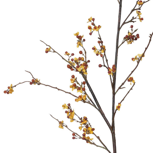 Bitter Sweet Stem style shot 1