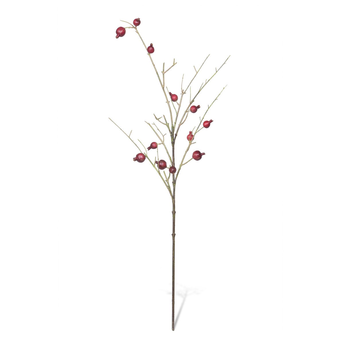 Pomegranate Branch