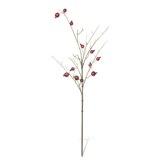 Pomegranate Branch