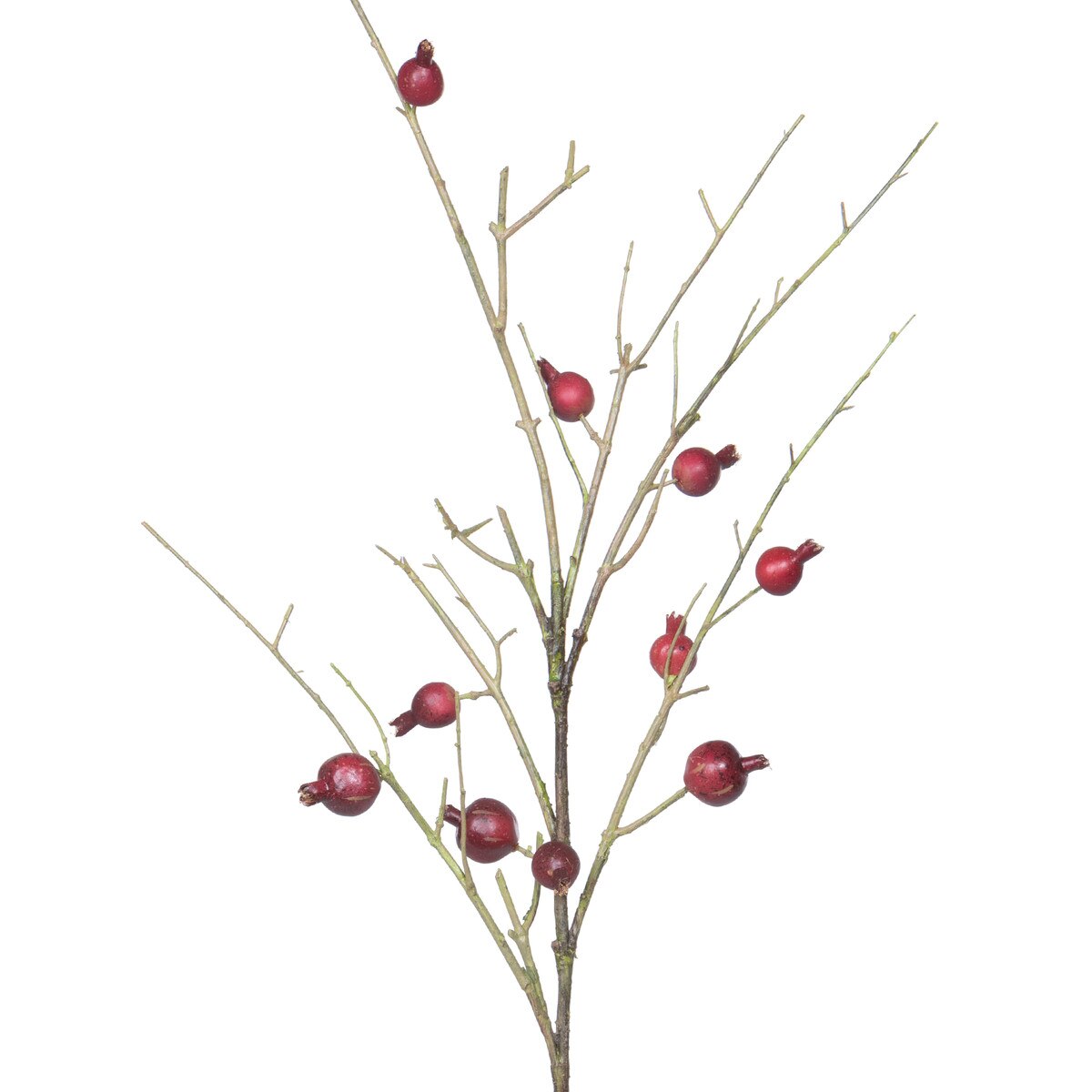 Pomegranate Branch style shot 2