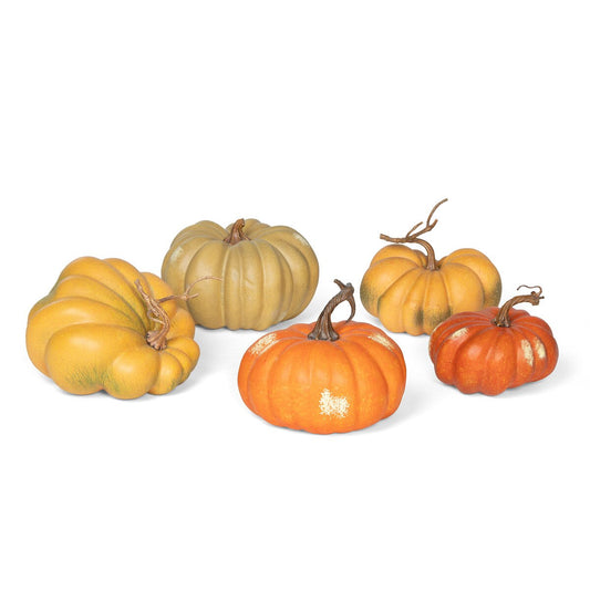 Kentucky Field Pumpkin Collection, Set of 5, Assorted Styles style shot 1