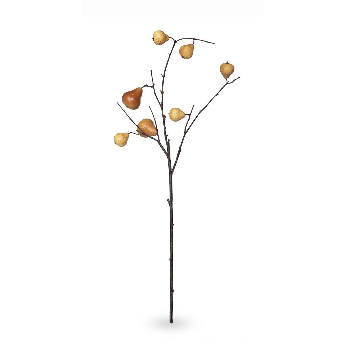 Autumn Pear Stem style shot 1