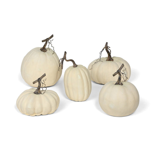 Full Moon Pumpkin Collection, Set of 5 style shot 1