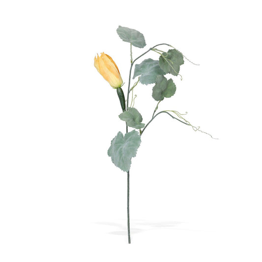 Squash Vine Stem style shot 1