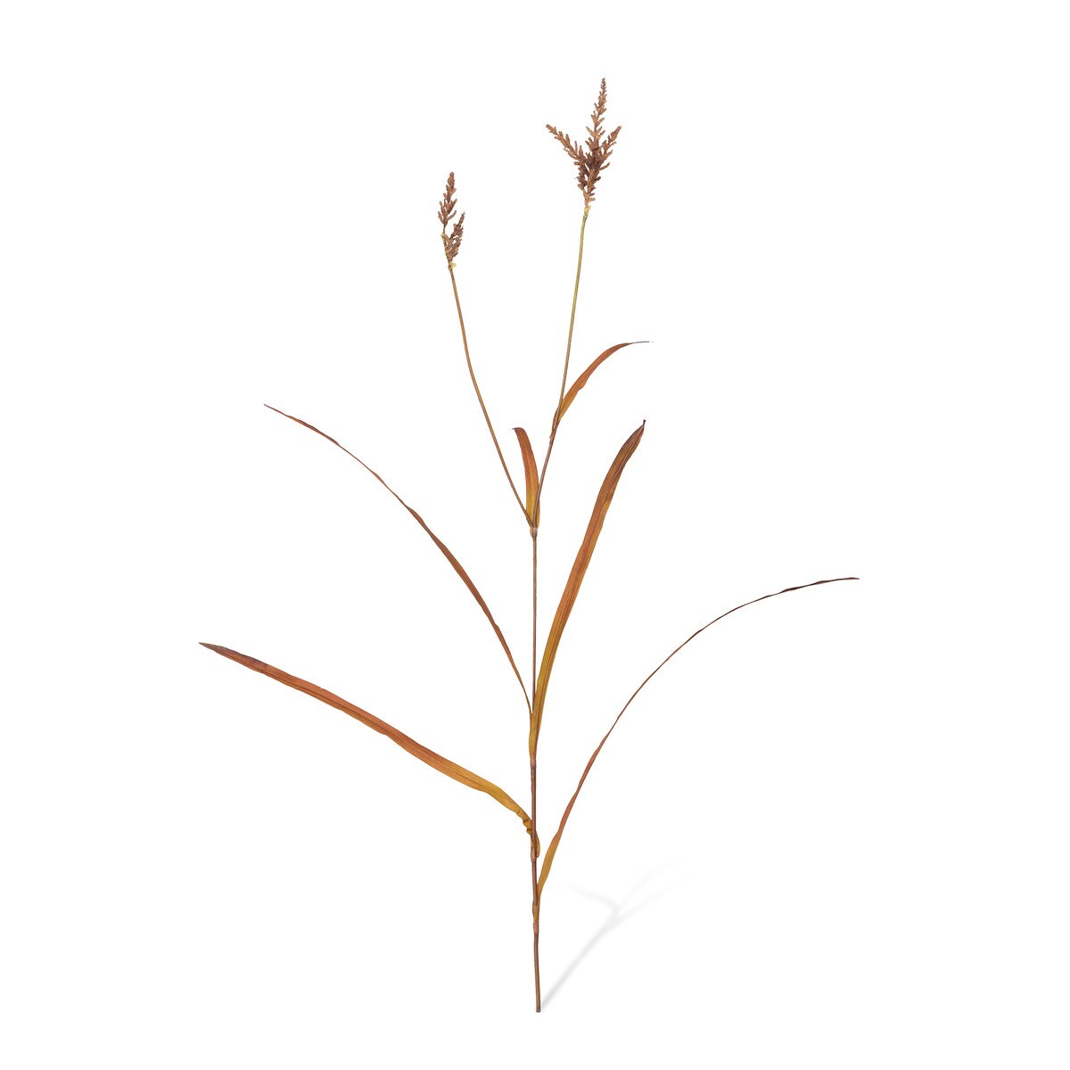 Pasture Grass Collection style shot 1