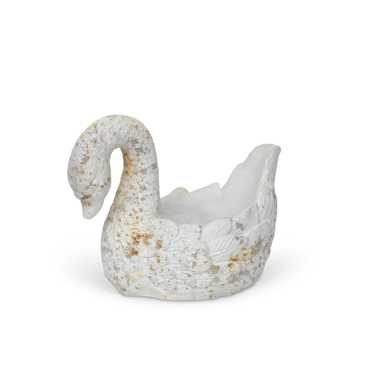 Ivory Swan Dish style shot 1