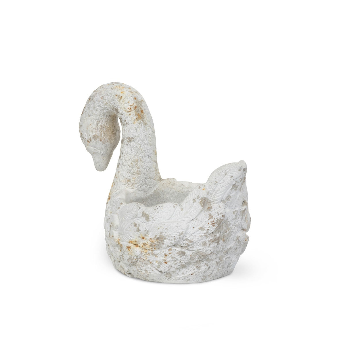 Ivory Swan Dish style shot 2