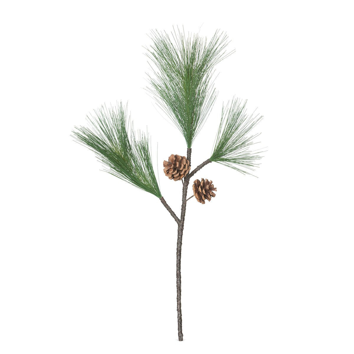 Faux Coulter Pine Pick style shot 1