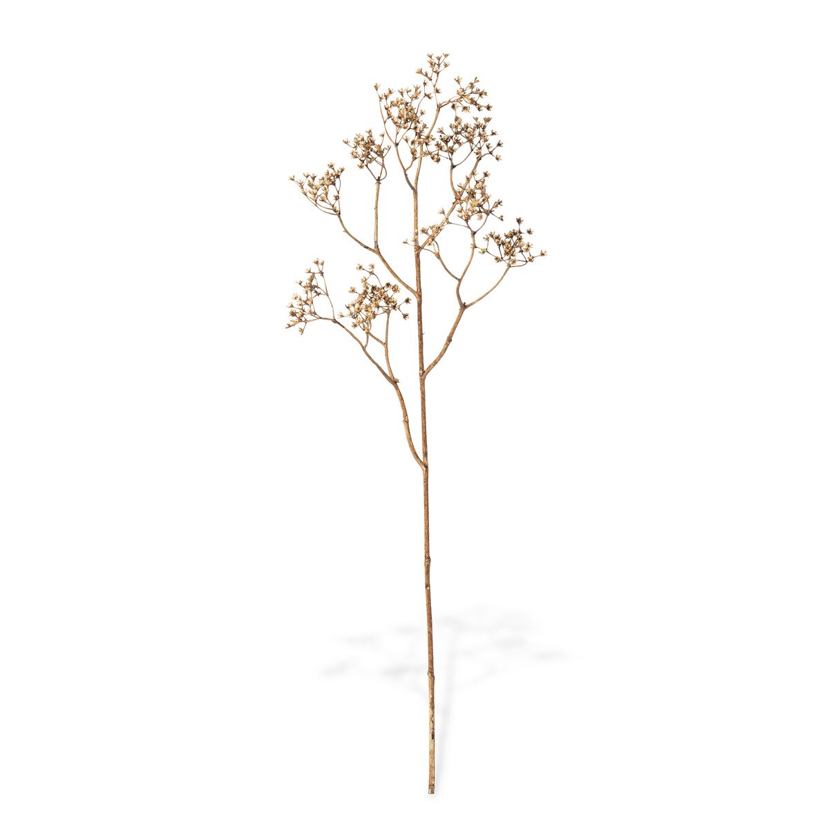 Dry-Look Gypsophelia Spray style shot 1