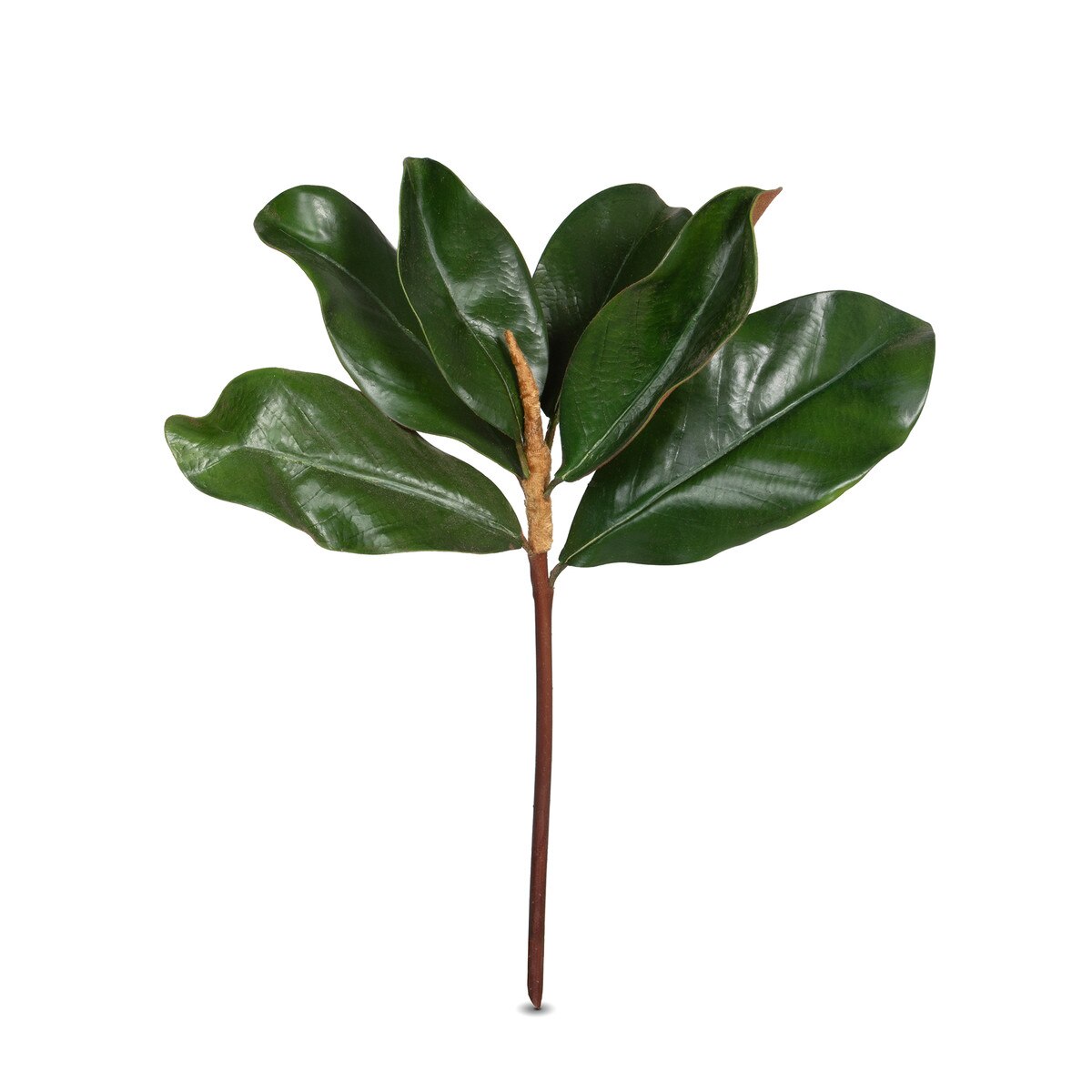 Magnolia Leaves style shot 1