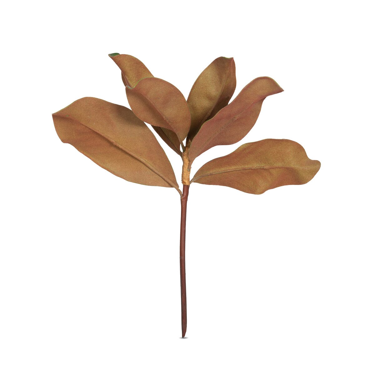 Magnolia Leaves style shot 2