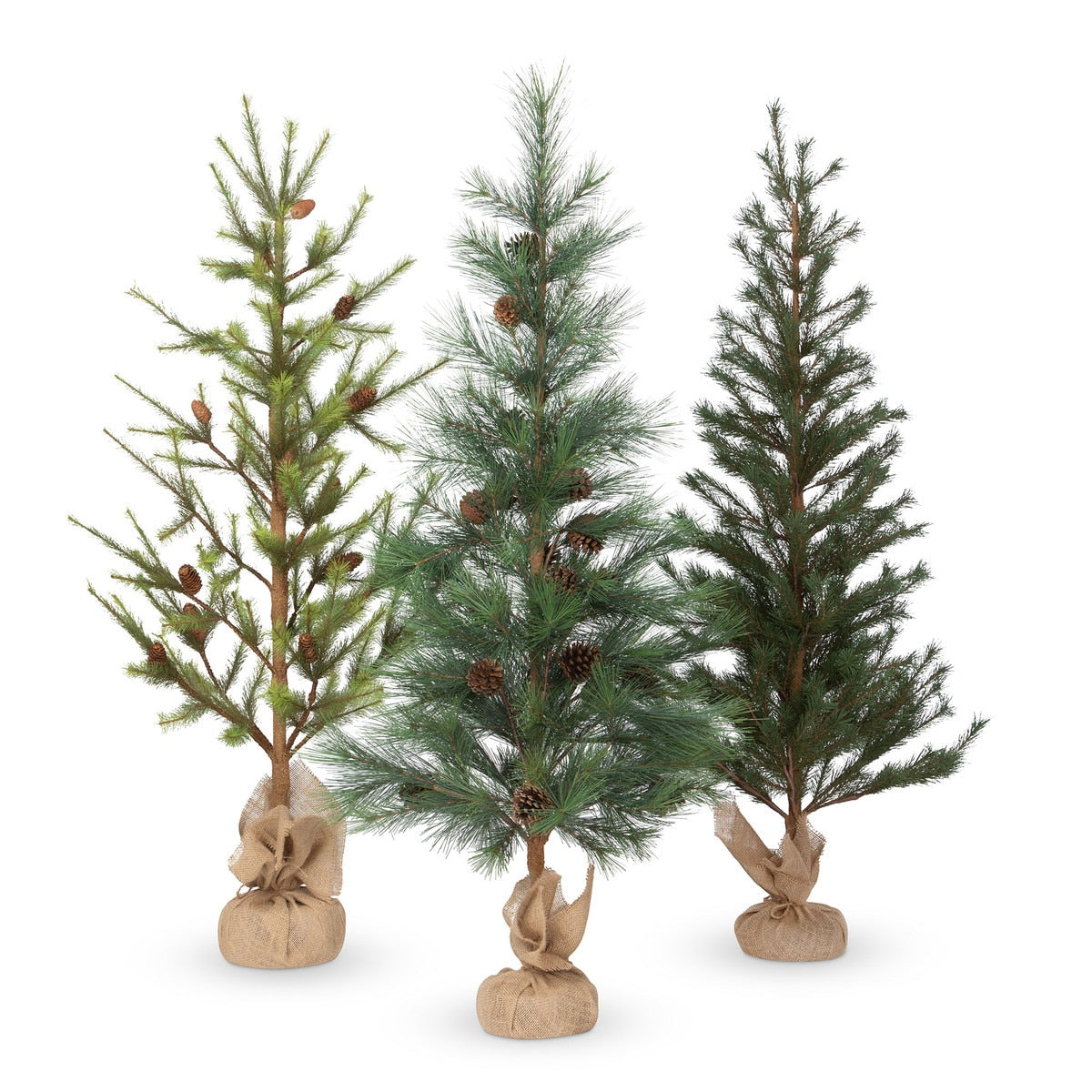 Third-Year Faux Seedling Trees, Set of 3 style shot 1