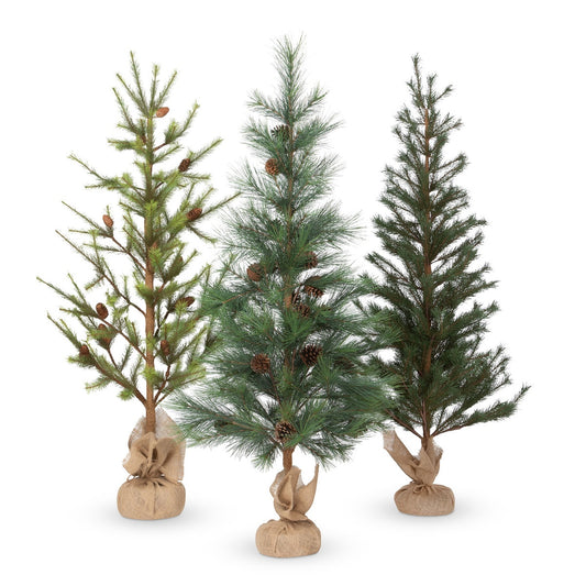 Third-Year Faux Seedling Trees, Set of 3 style shot 1